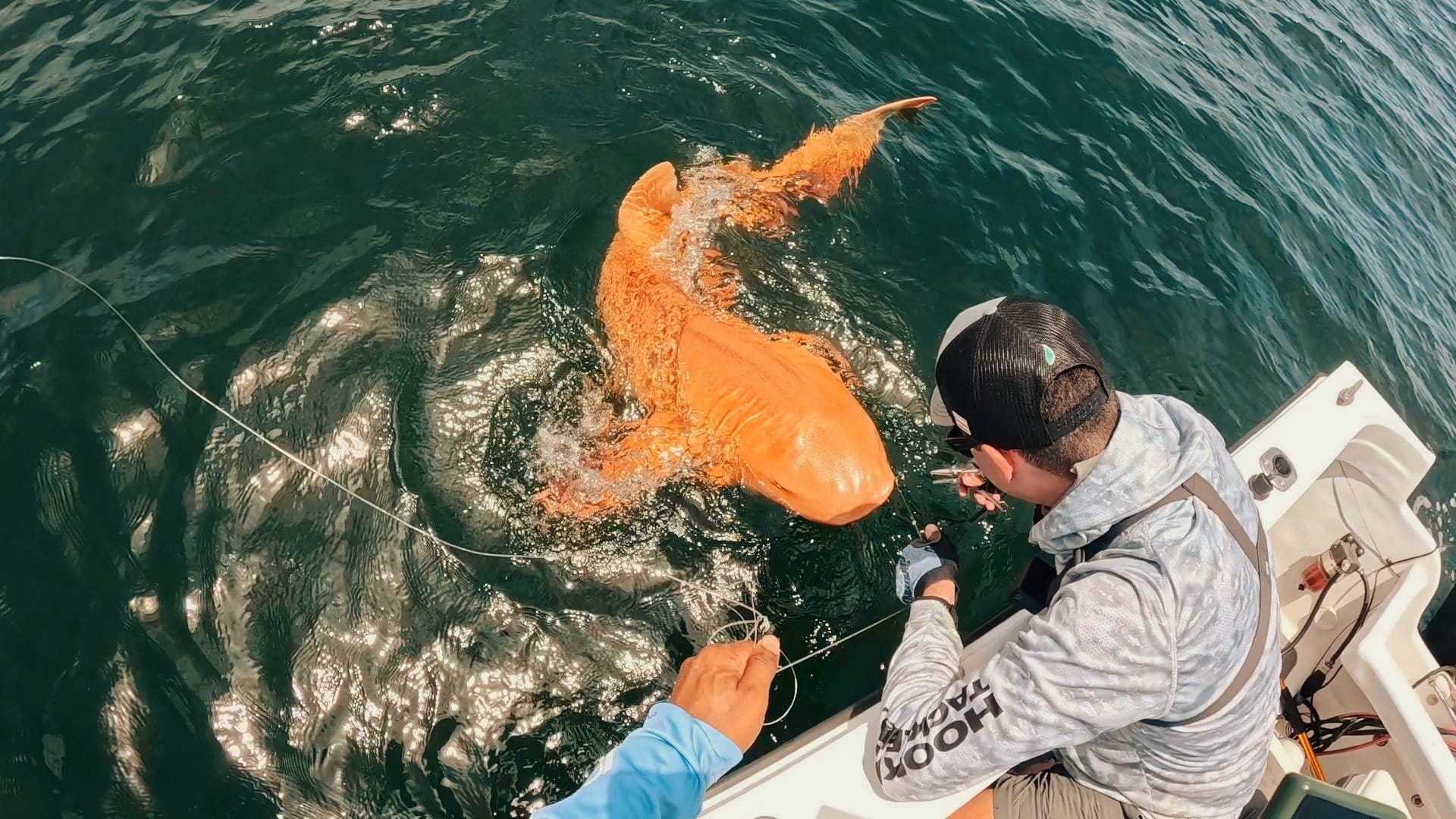 496076317-1287120150085785-77880199685075192-n