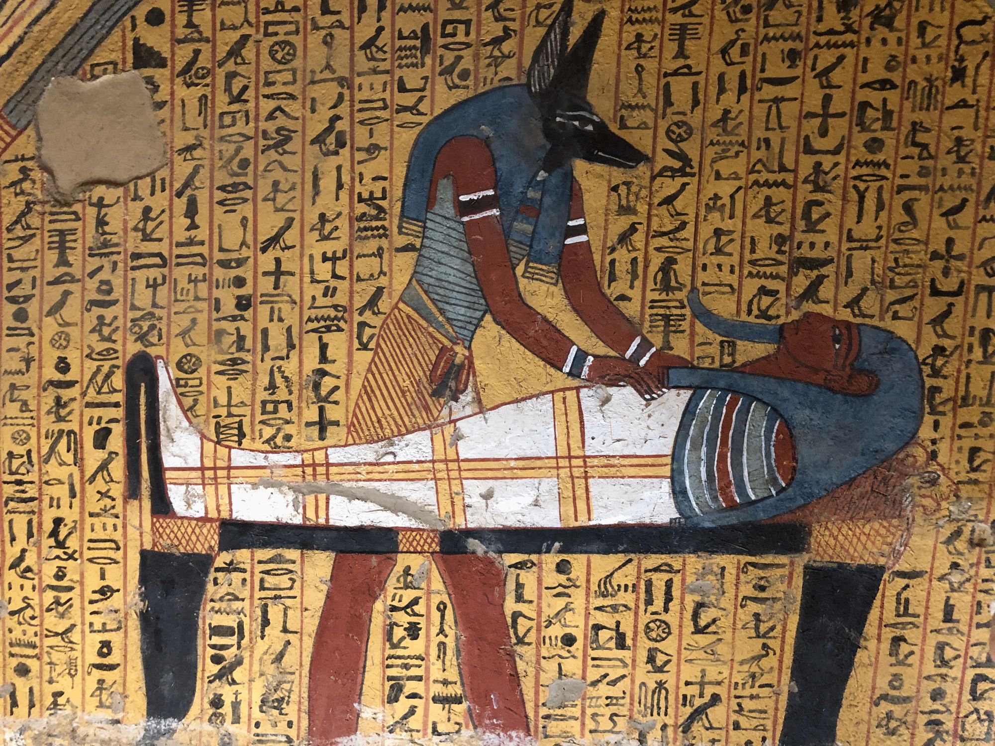 anubis