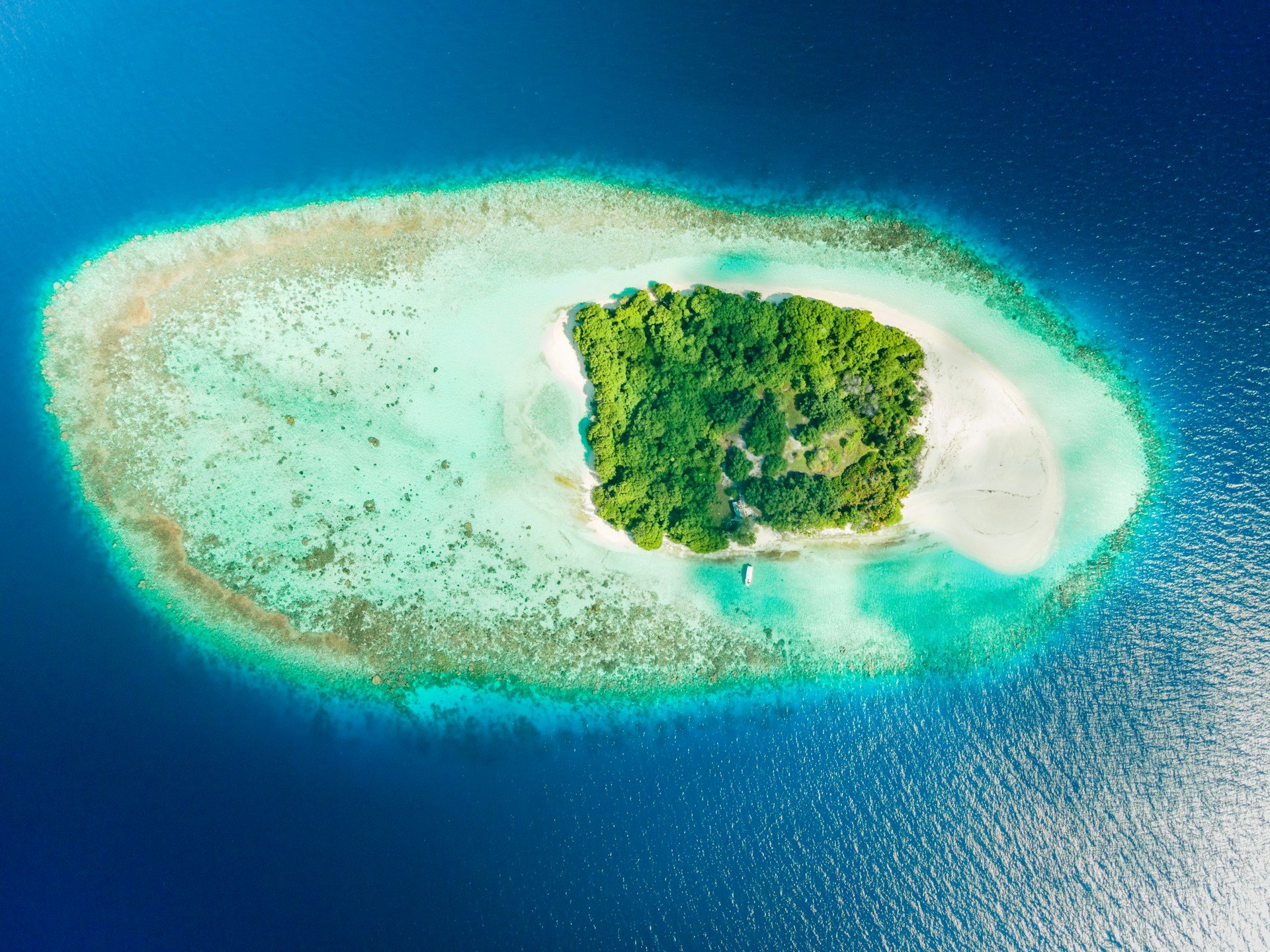 mohamed-sameeh-wwiw25x8cpw-unsplash