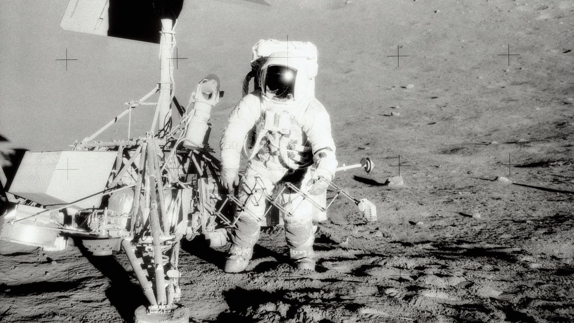 untitled-design_17 untitled-design_17