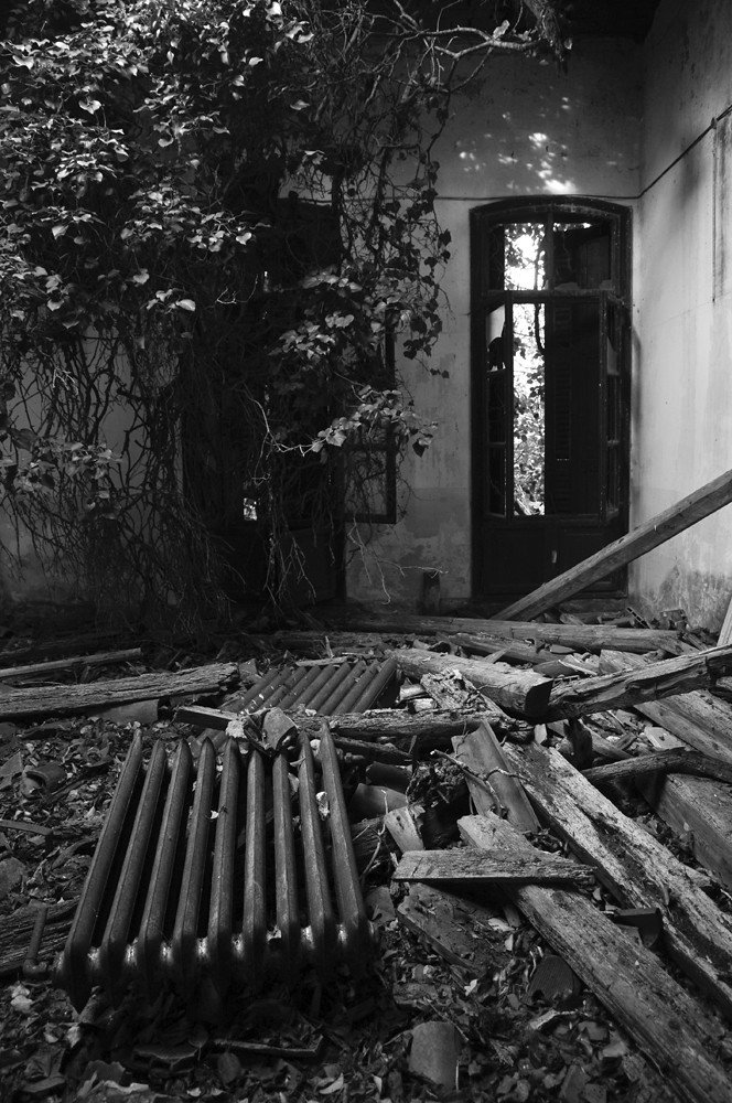 23146173043_6da135a7dd_b