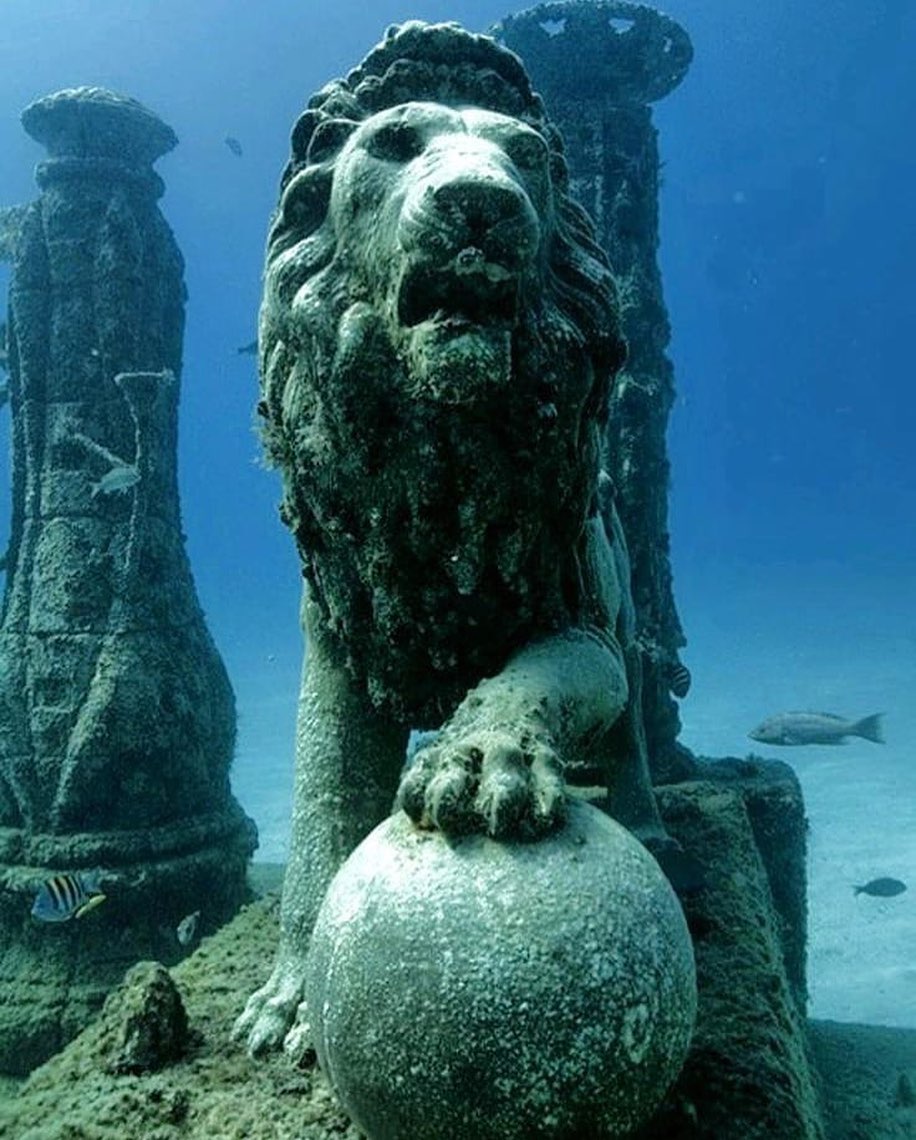 440660806_951251749837278_8044632802658853099_n