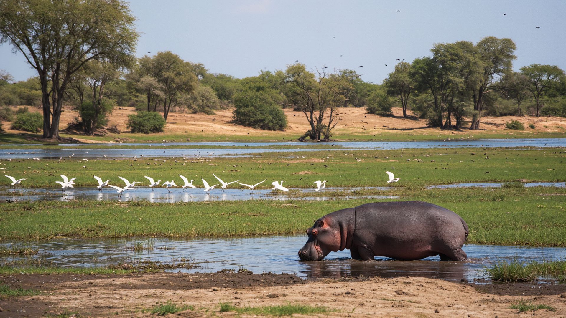 Add a heading (9) Add a heading (9)