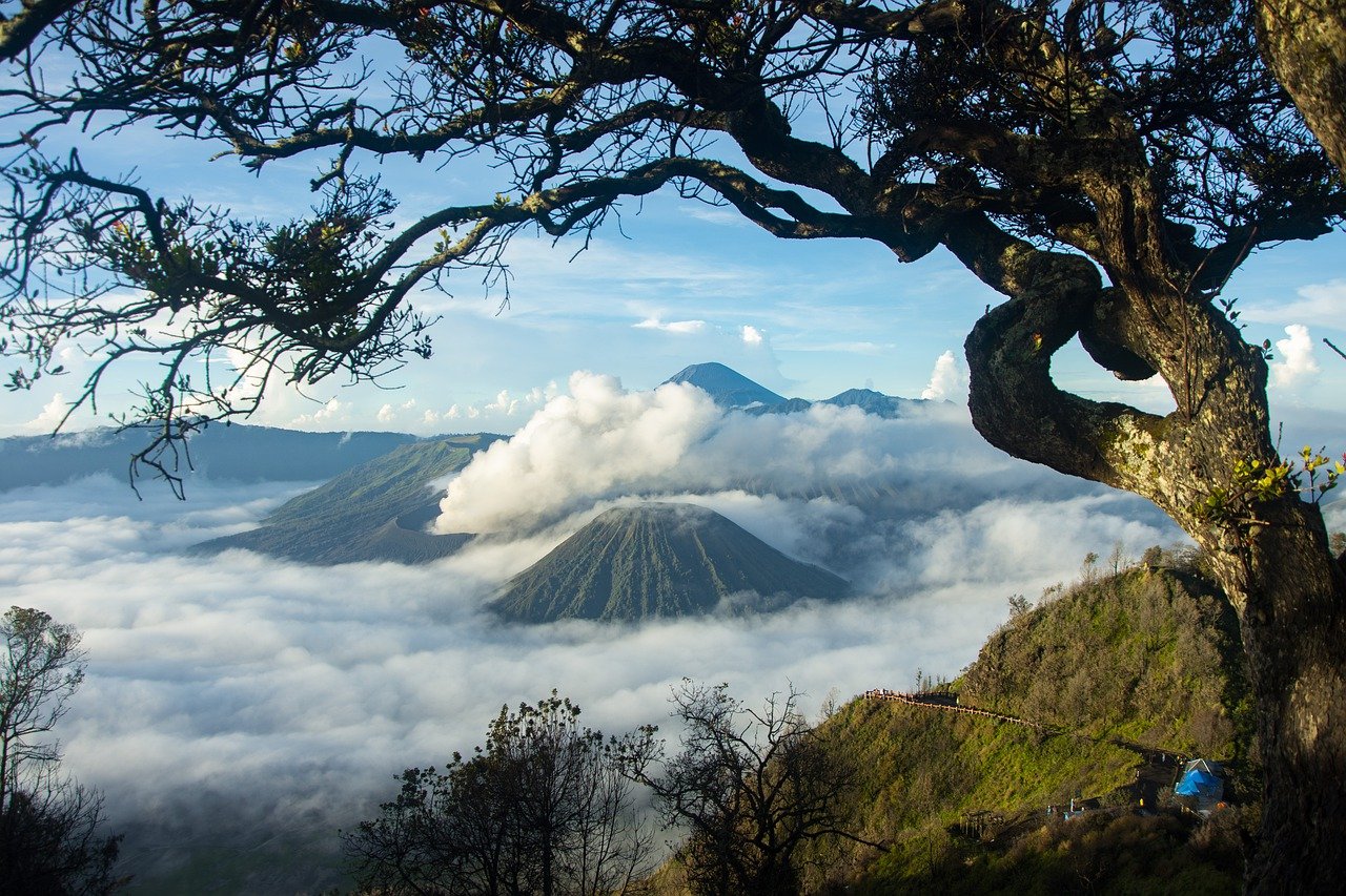 bromo4