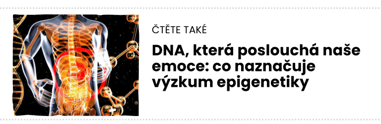 čTĚTE TAKÉ (13) čTĚTE TAKÉ (13)