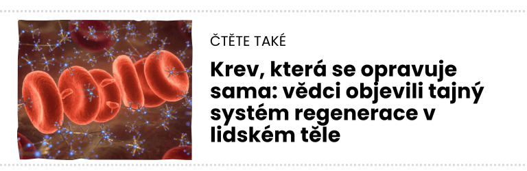 čTĚTE TAKÉ (15) čTĚTE TAKÉ (15)