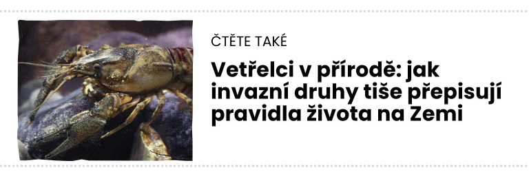 čTĚTE TAKÉ