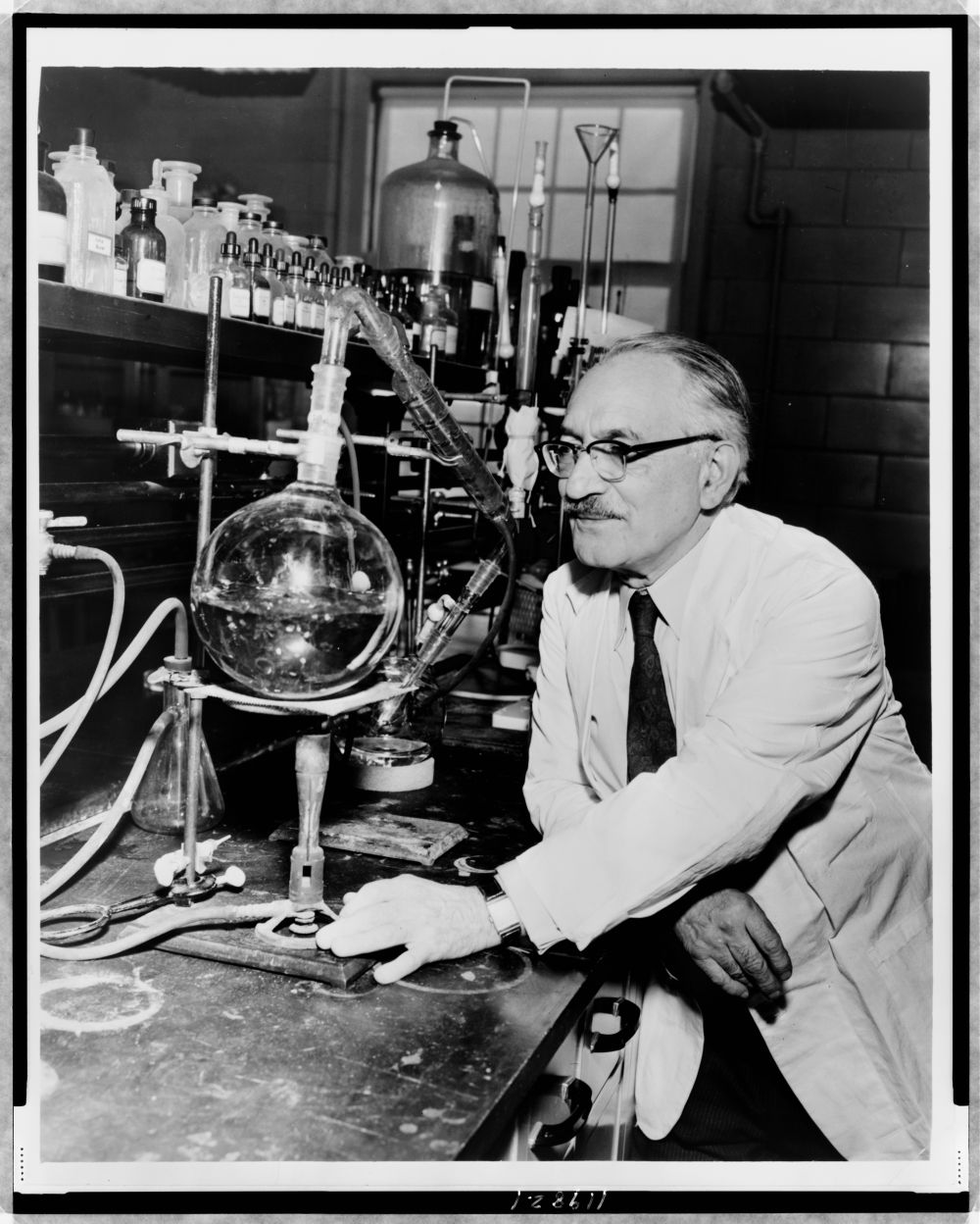 dr-selman-waksman-half-length-portrait-facing-left-at-work-in-the-laboratory