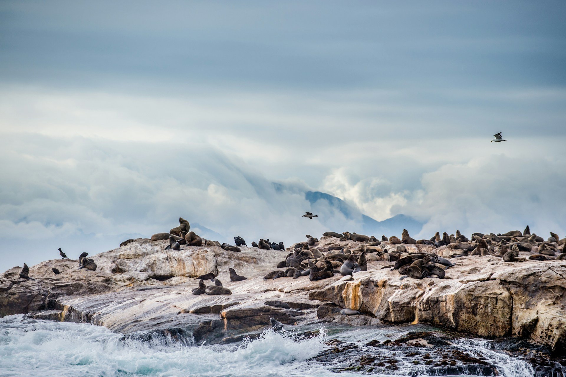 getty-images-oqPNp6rqmps-unsplash