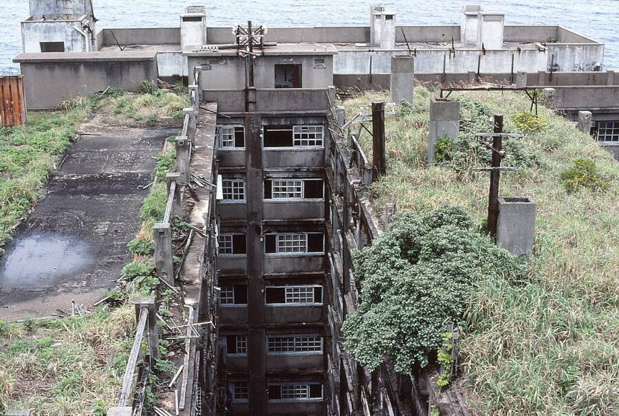 hashima-island-rooftop