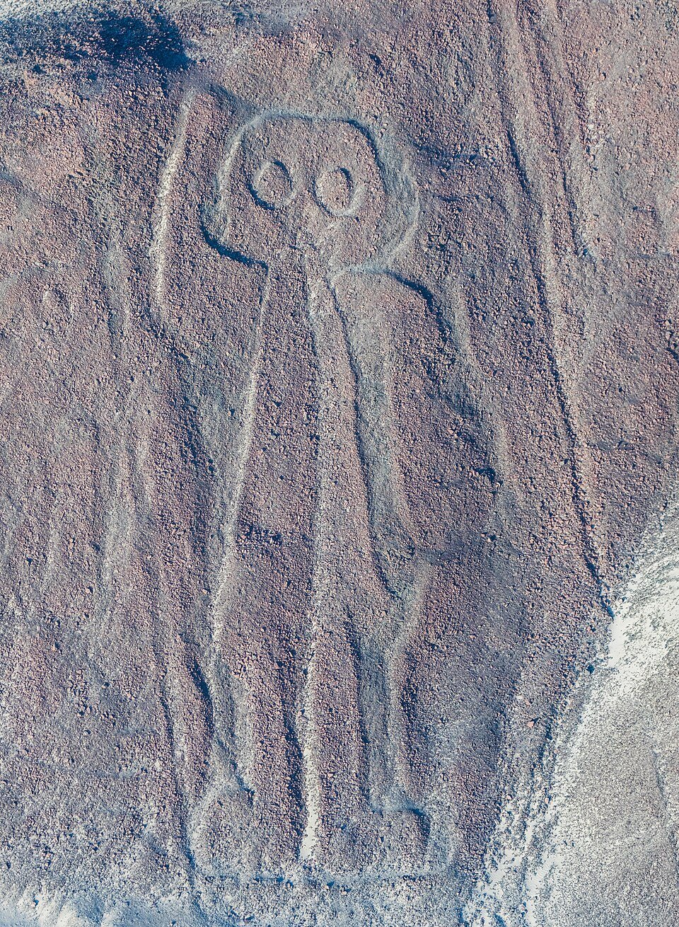 Líneas_de_Nazca,_Nazca,_Perú,_2015-07-29,_DD_46