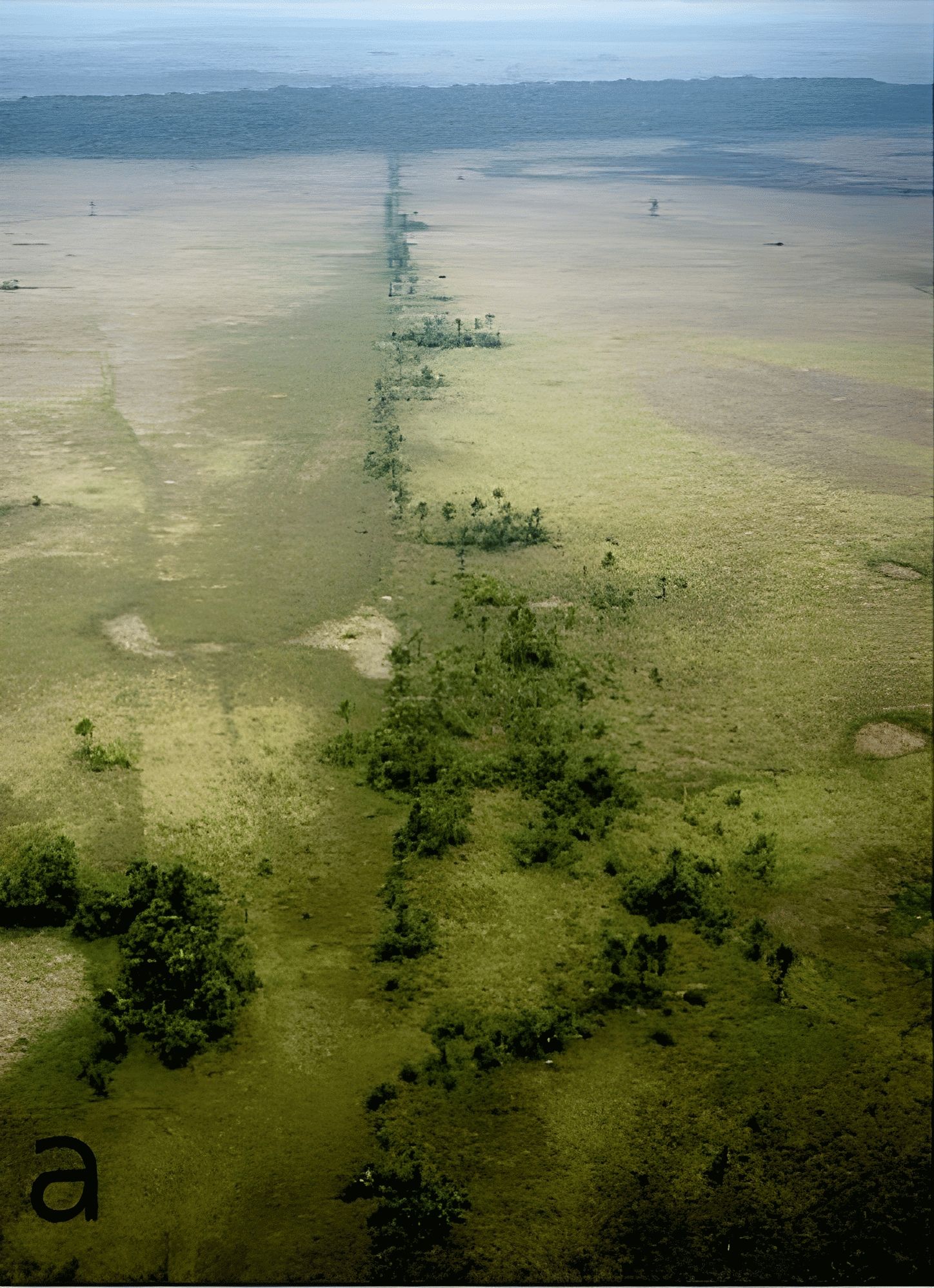 Pre-Columbian_man-made_causeway_in_Llanos_de_Moxos (1) Pre-Columbian_man-made_causeway_in_Llanos_de_Moxos (1)