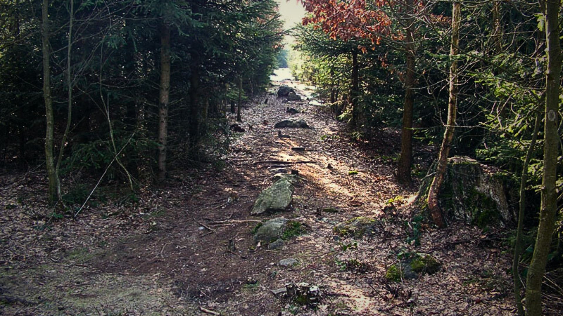 Proč! (2) Proč! (2)