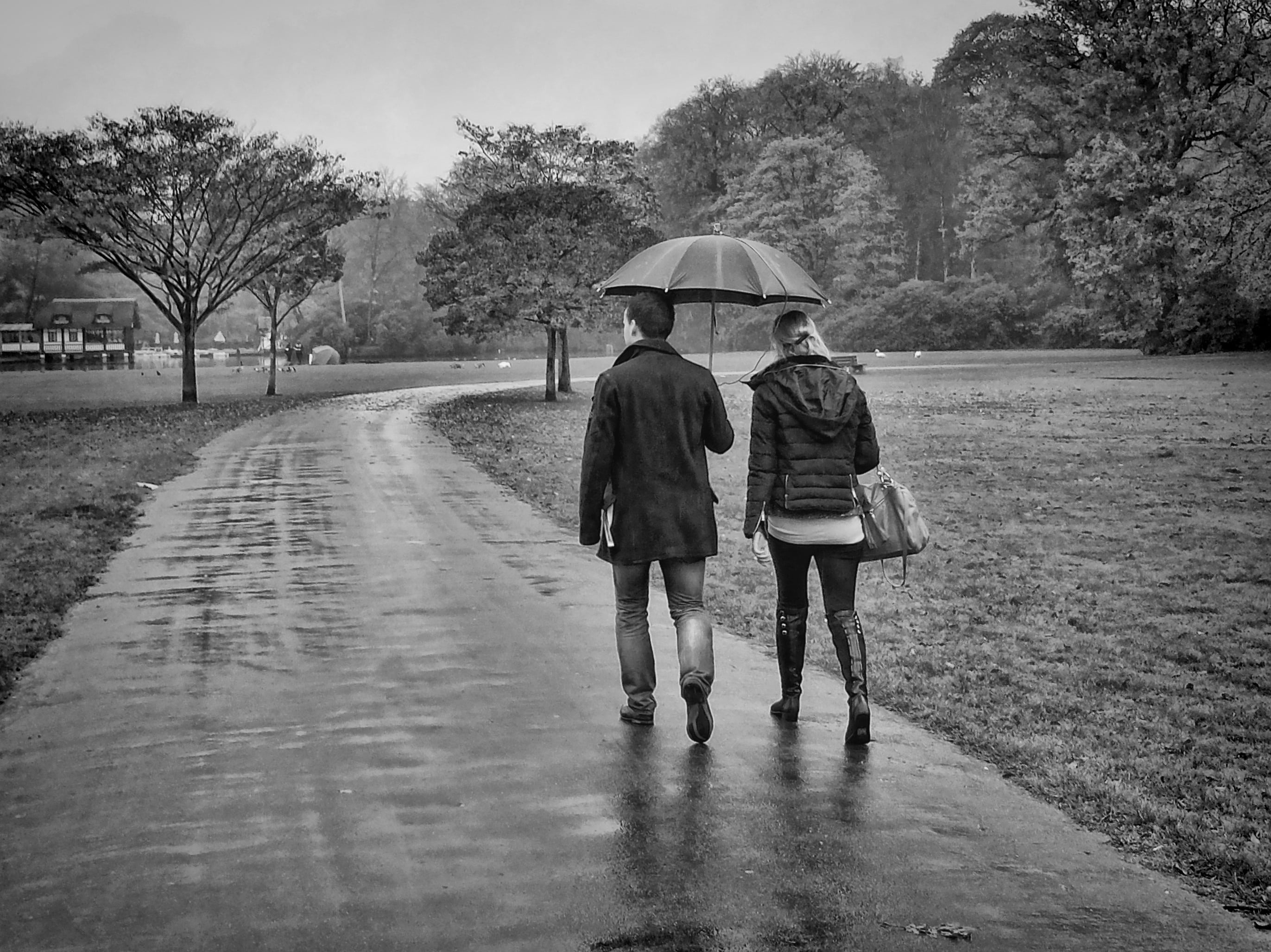 rain-brasschaat-park-walk-1efc3ae79a83e1eb3c190ad39171aac2