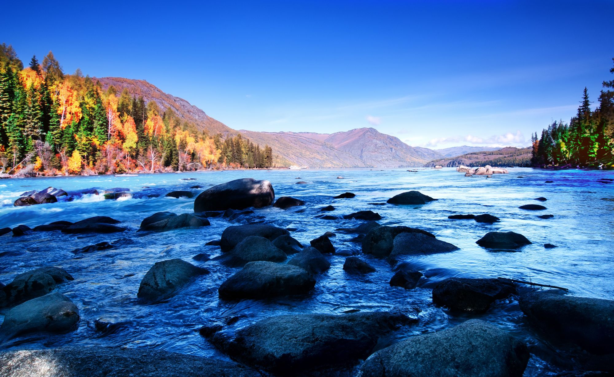 shutterstock_114695446