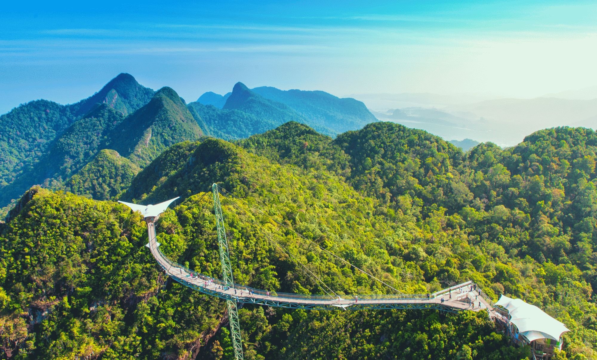 shutterstock_1388204588