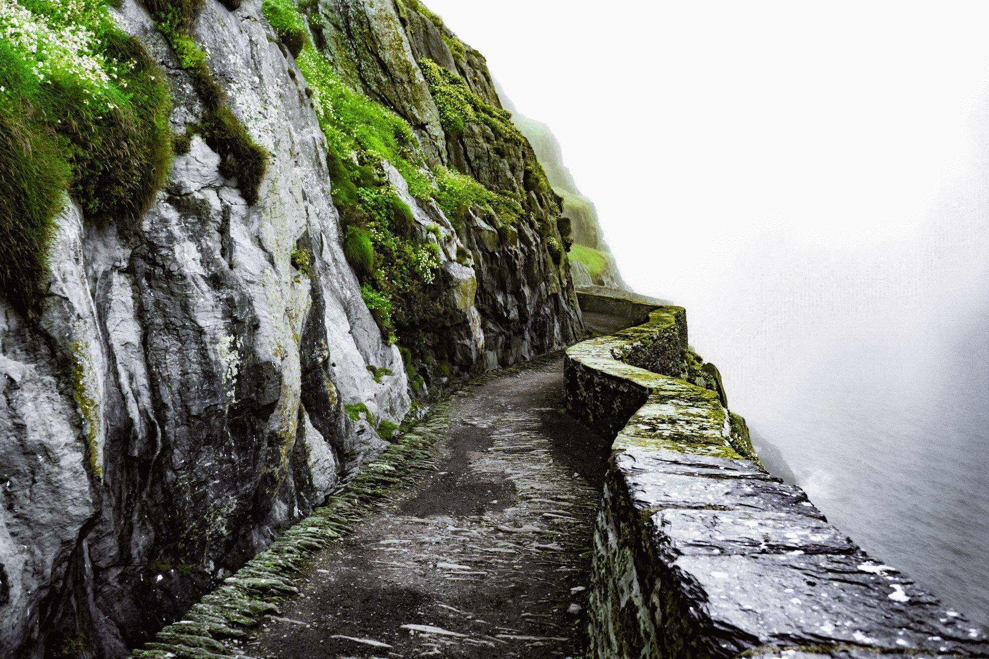 shutterstock_1395345350 shutterstock_1395345350