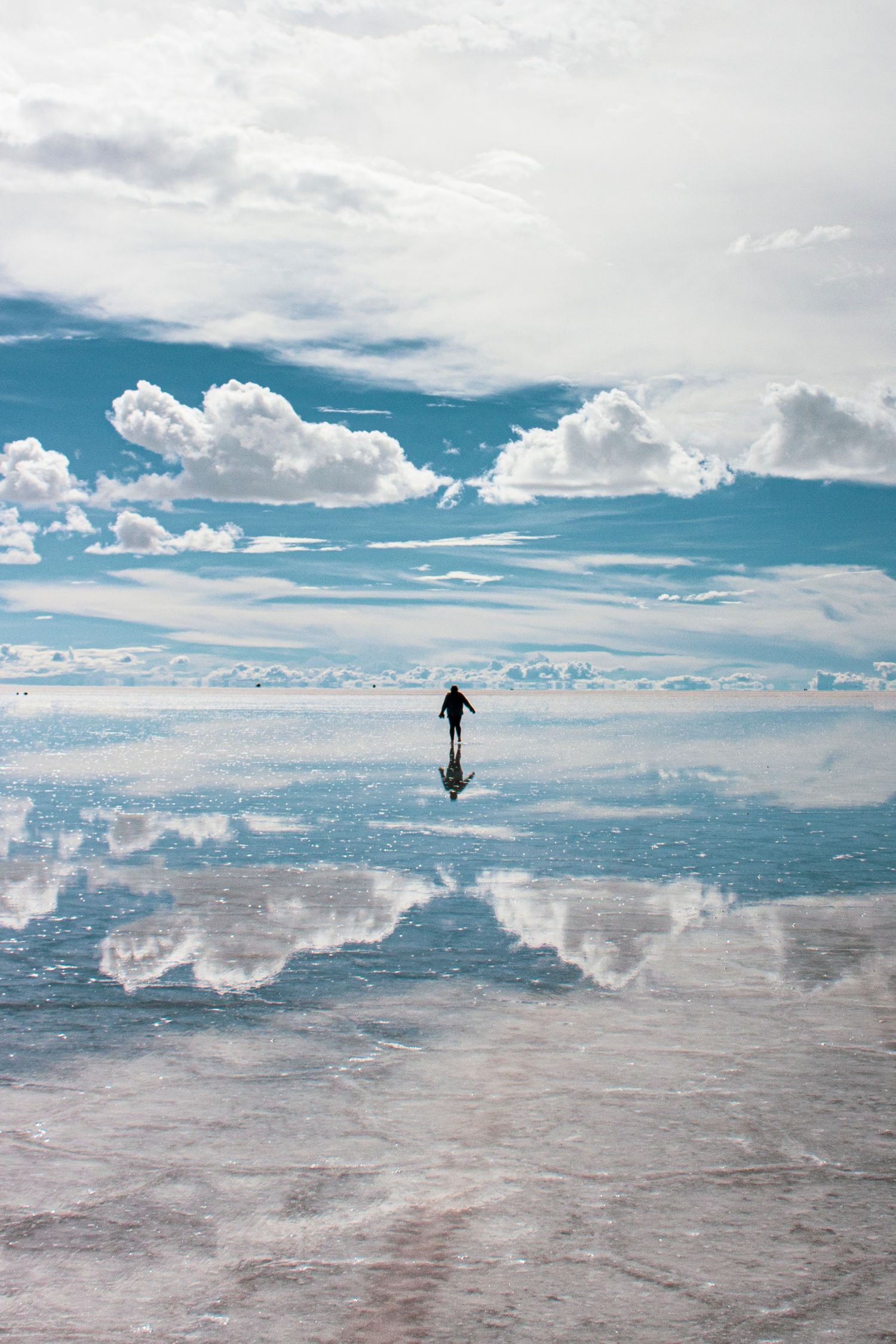 shutterstock_2226760507