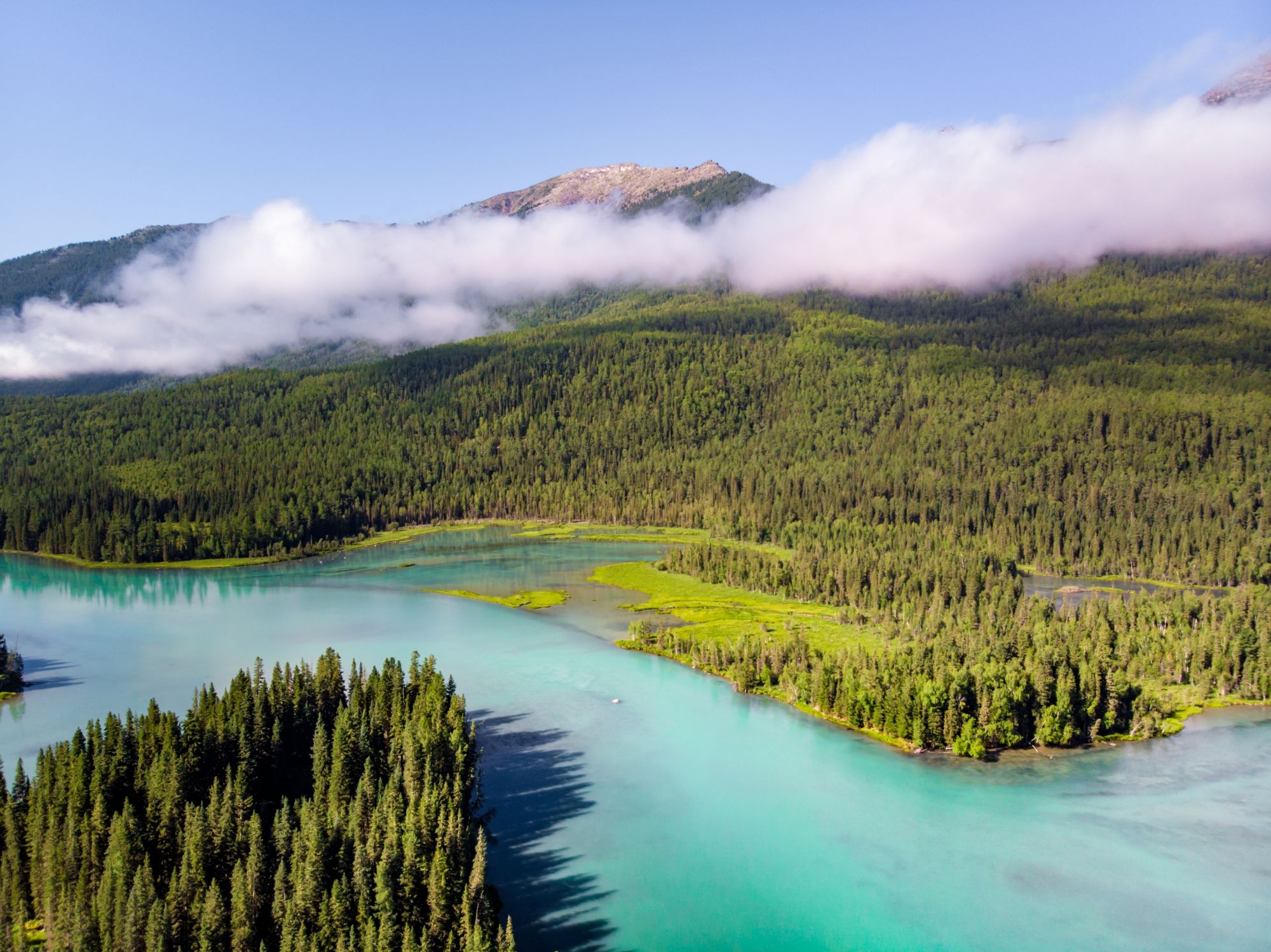 shutterstock_2580498869