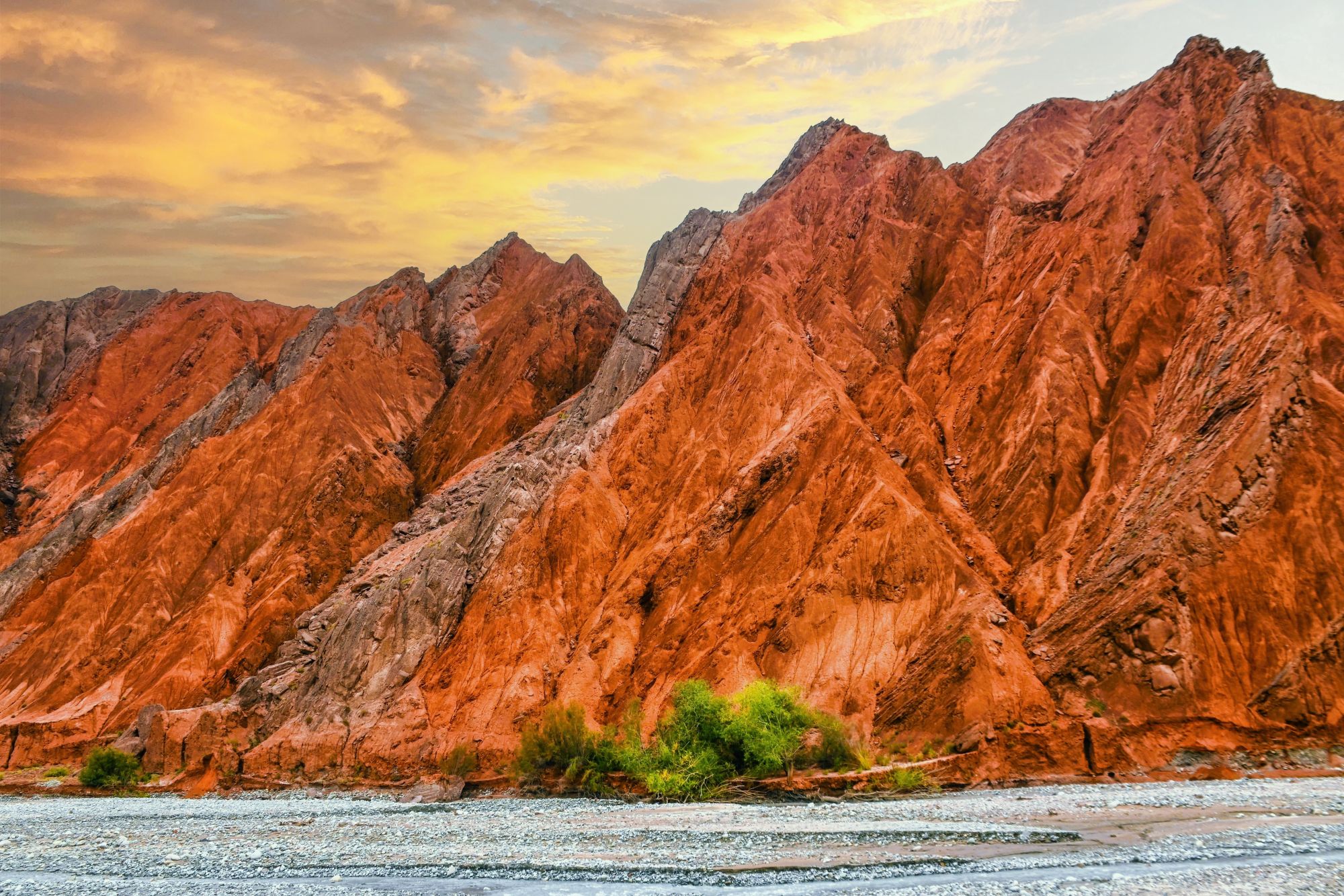 shutterstock_2636306415