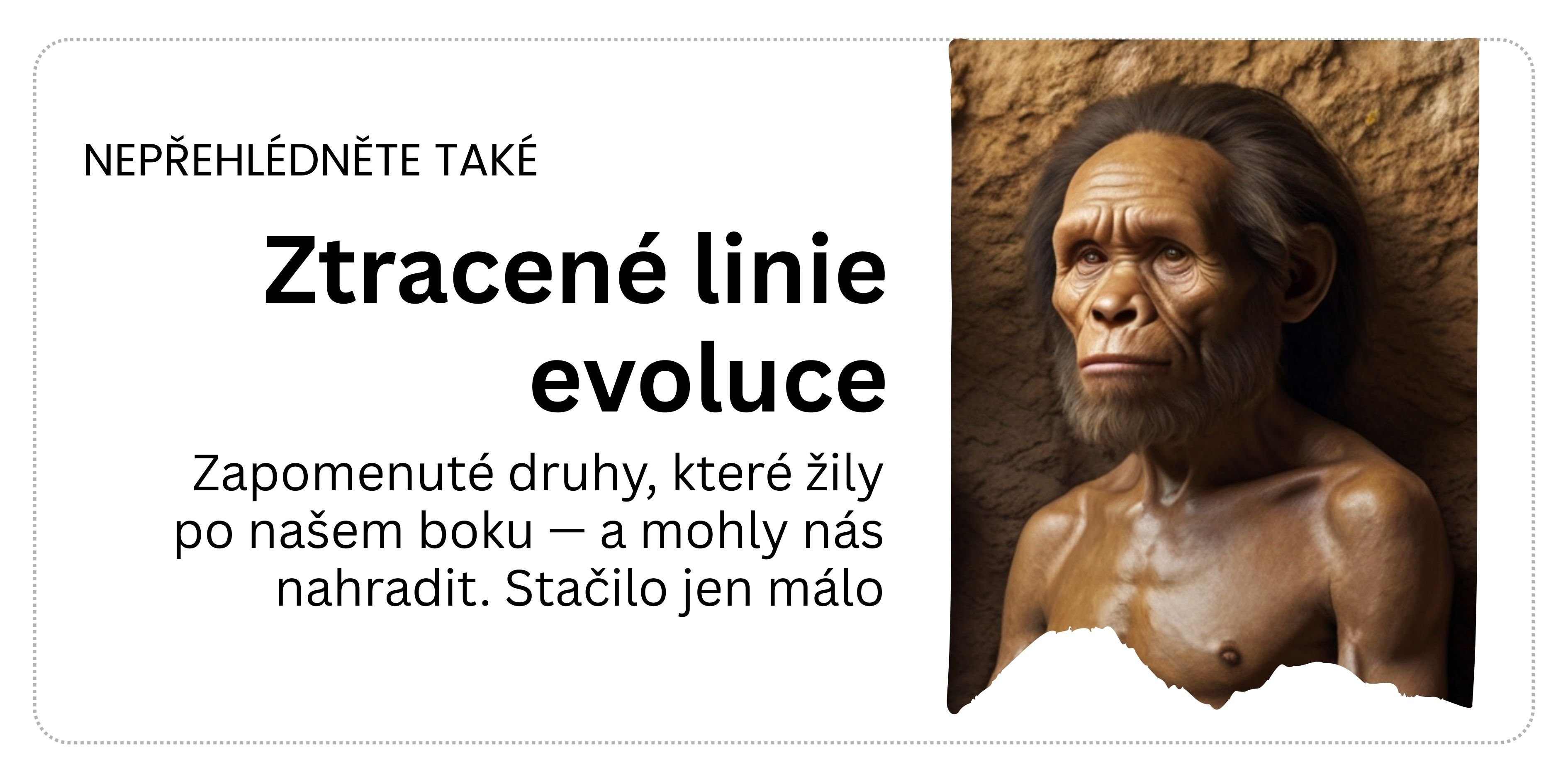 tip_enigma tip_enigma