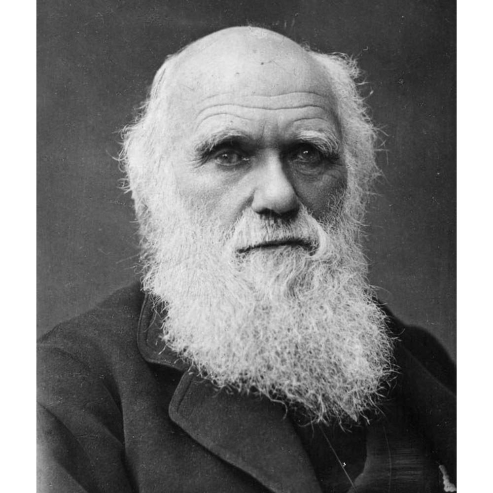 Untitled design (29)