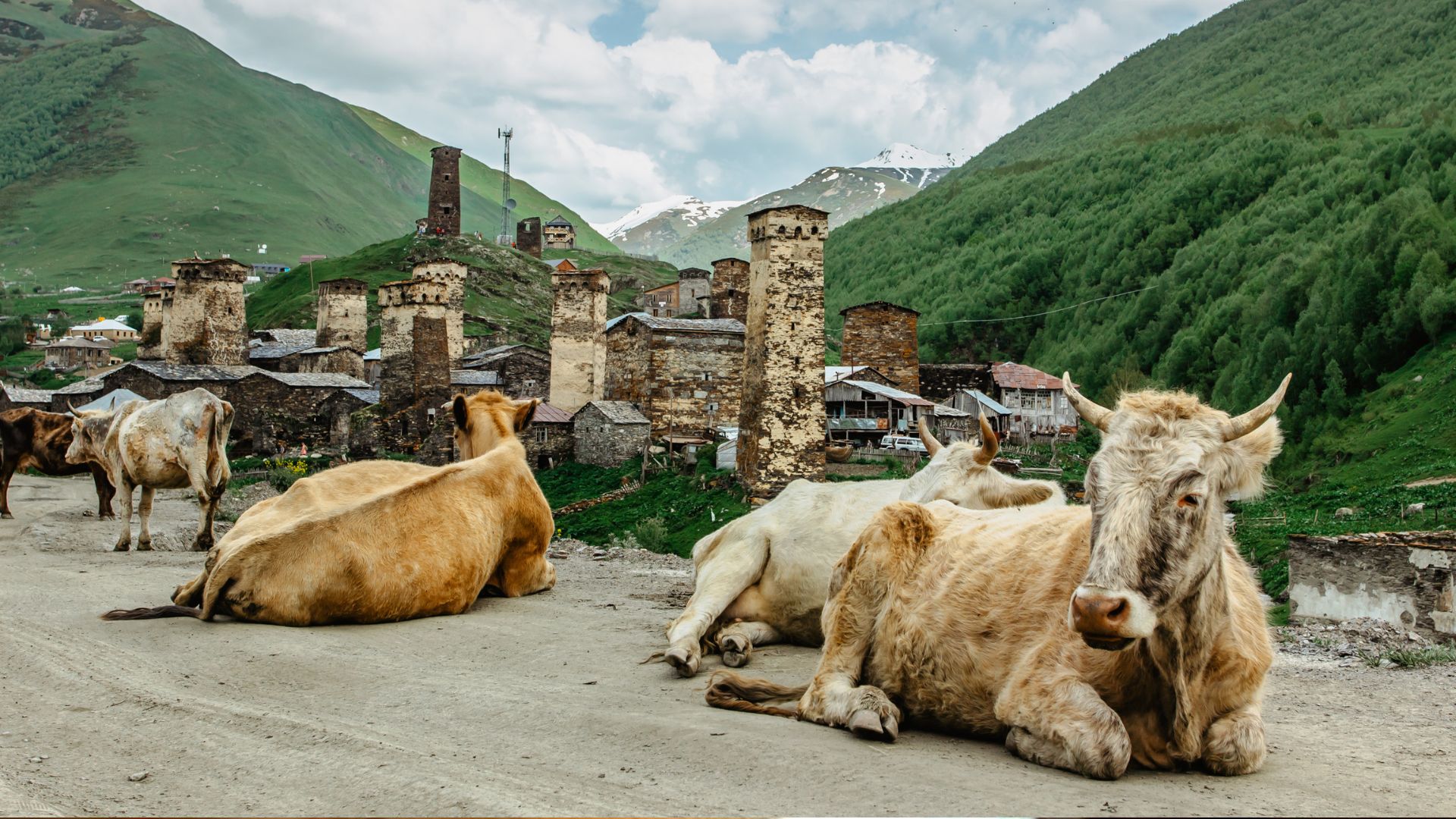 Untitled design (33)