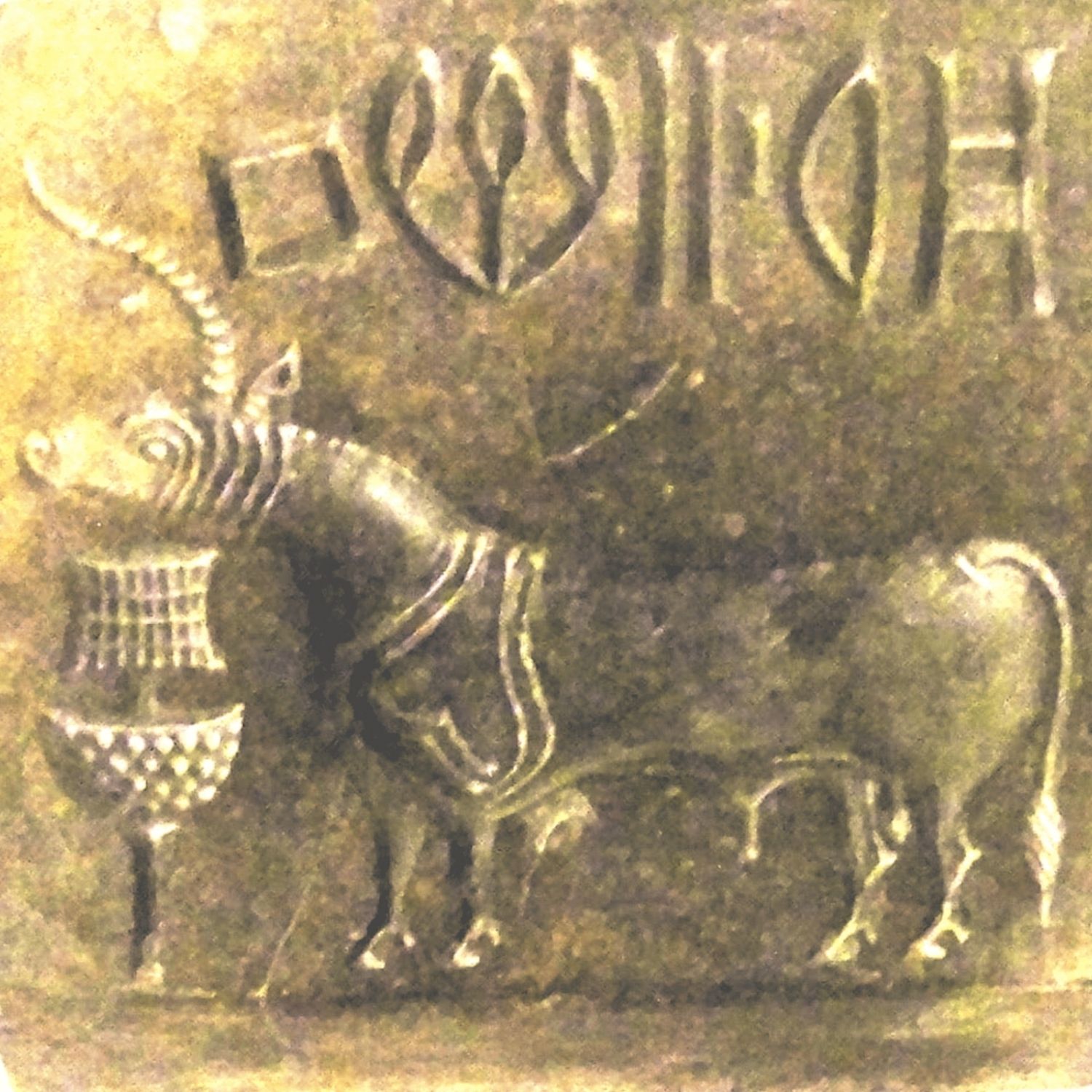 Untitled design Untitled design