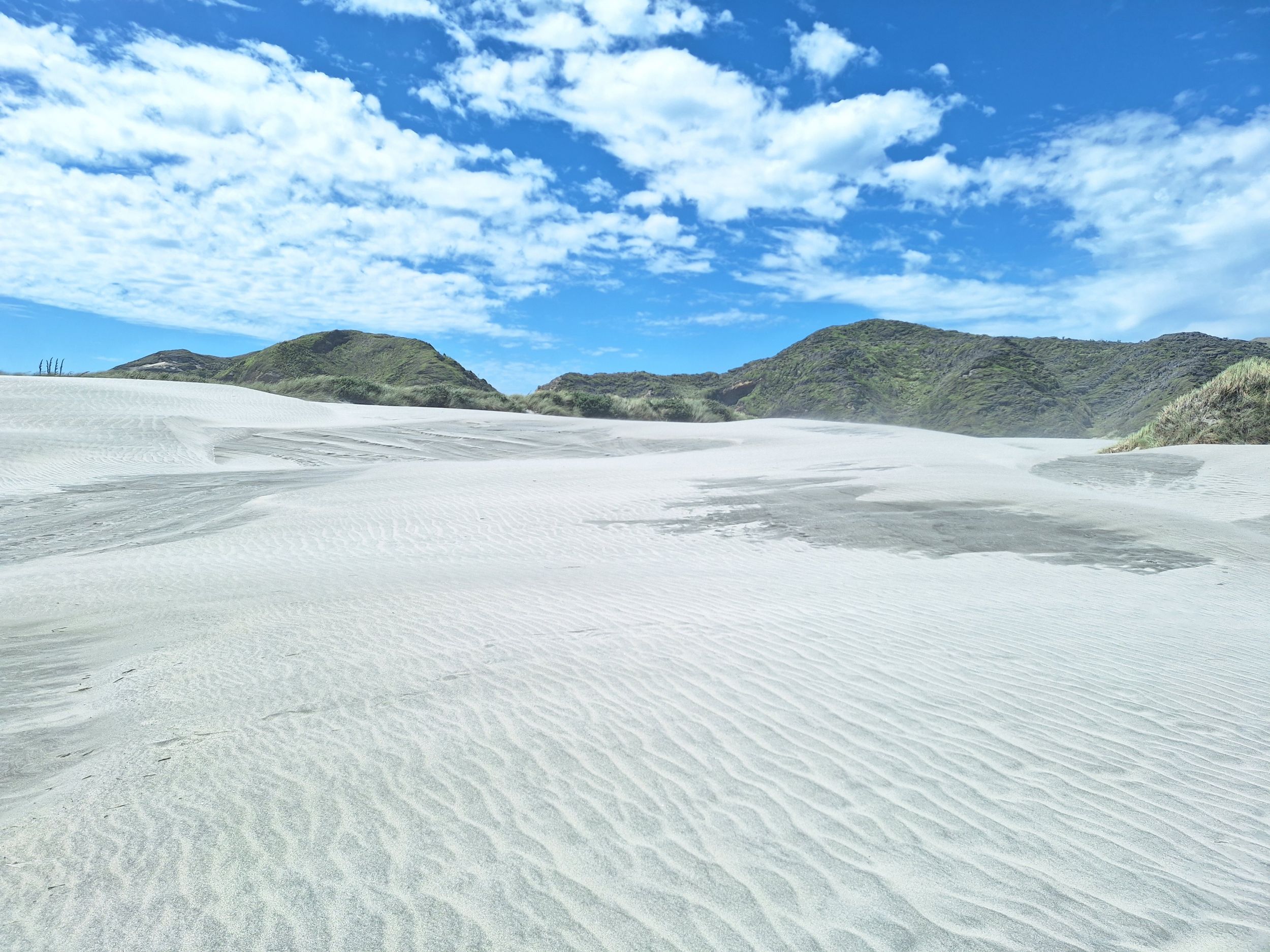 Wharariki novy zeland Wharariki novy zeland